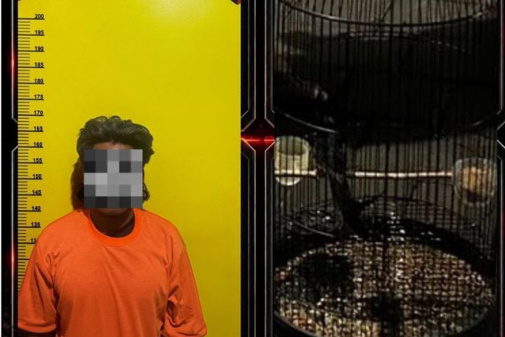 DENPASAR, BALINEWS.ID – Seorang pria berinisial MM (42), asal Probolinggo, Jawa Timur, ditangkap aparat Unit Reskrim Polsek Denpasar Barat setelah diduga mencu…