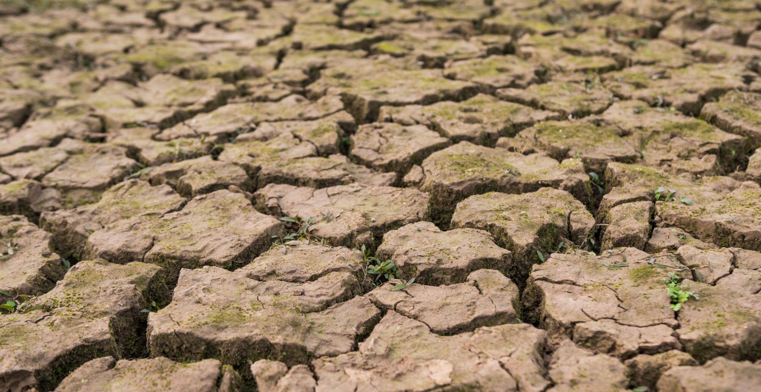 PARIS, BALINEWS.ID - PBB memperingatkan bahwa fenomena El Niño yang 'superbesar' diperkirakan akan memberikan dampak signifikan pada ekonomi global. Fenomena i…
