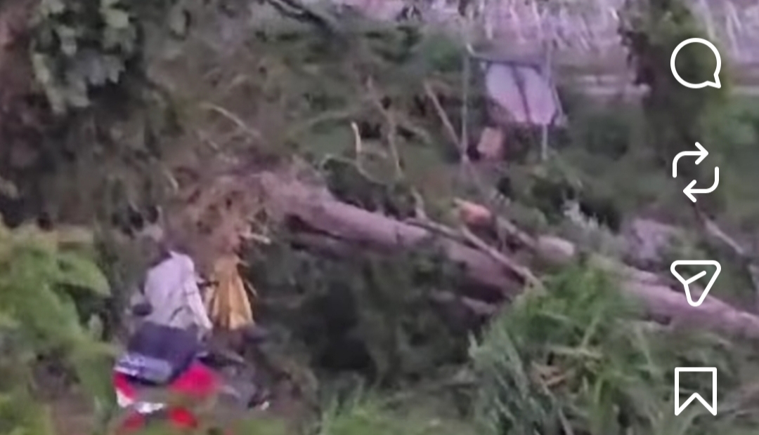 BADUNG, BALINEWS.ID - Angin kencang mulai melanda sejumlah wilayah Bali. Berdasarkan hasil pengamatan Automatic Weather Station (AWS) Kintamani, Sabtu, 12 Sept…