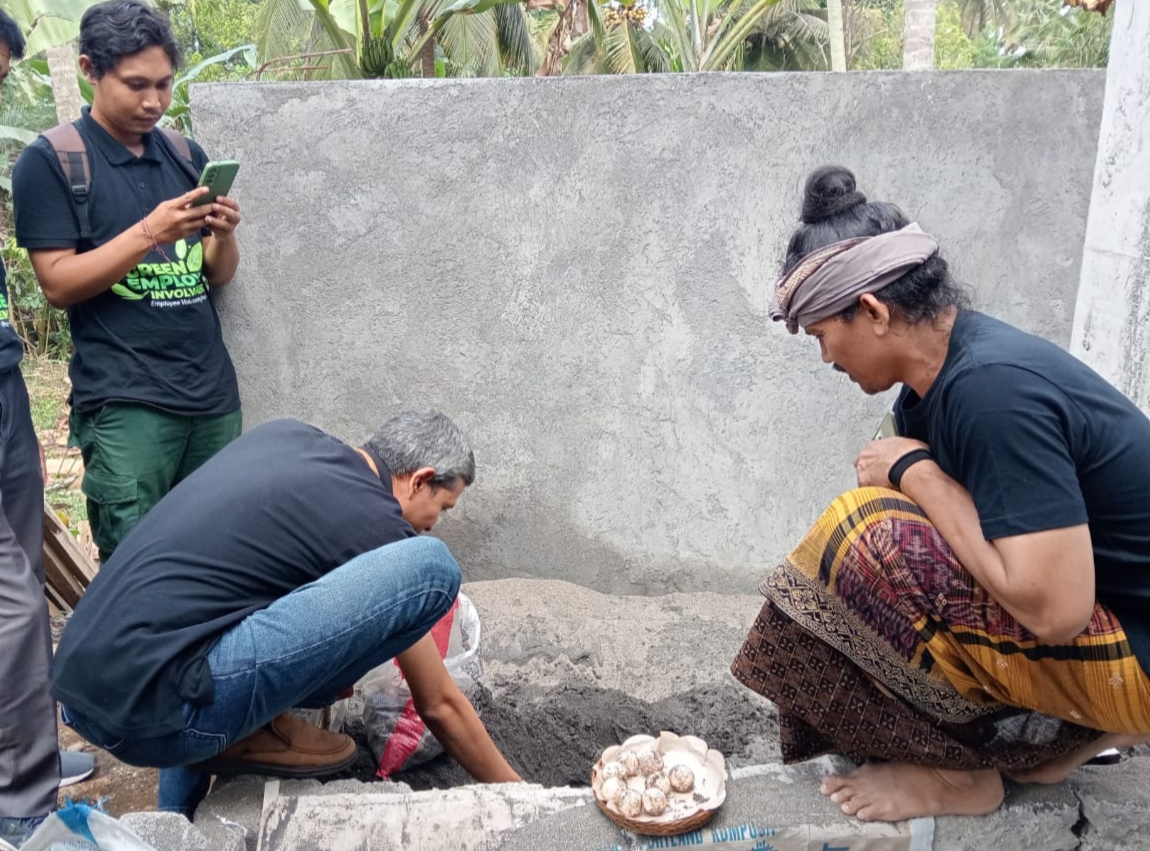Populasi Penyu di Pesisir Tabanan Meningkat Seiring Tumbuhnya Kesadaran Masyarakat Pada Ancaman Kepunahan