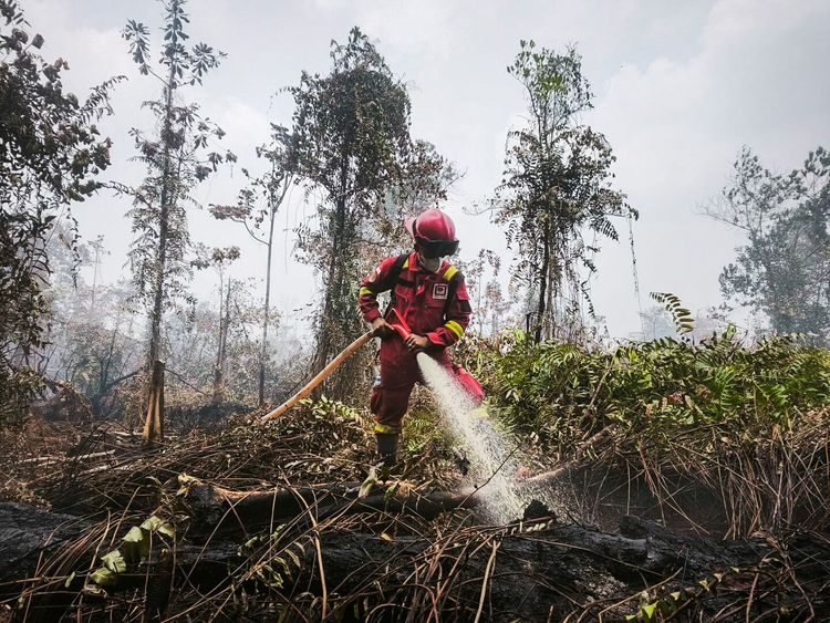 Hotspot Karhutla Melonjak, Kalimantan Tengah Jadi Perhatian Utama