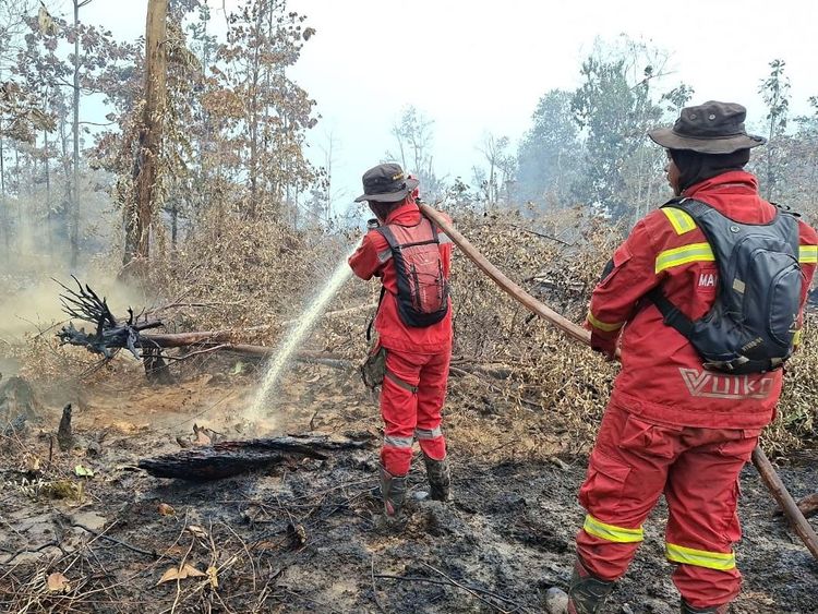 Hotspot Karhutla Nasional Turun, Sumsel Jadi Titik Perhatian Utama