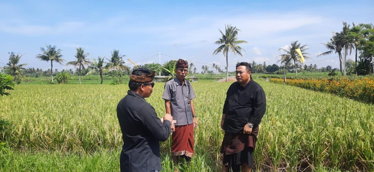 Subak Padang Lantang di Desa Lebih, Kecamatan Gianyar.