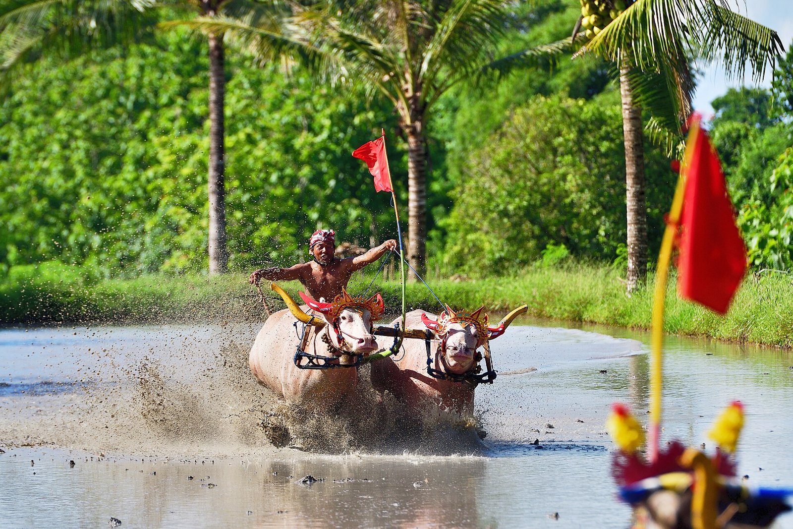 Gambar berita