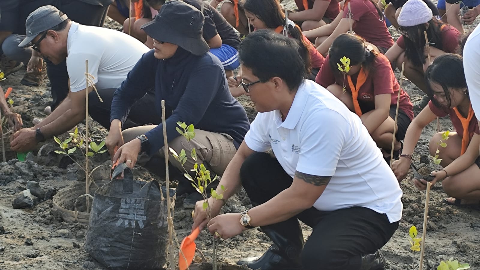 Tak Sekadar Menanam, IWO Bali Siap Awasi Kelestarian Mangrove dan Libatkan Generasi Muda