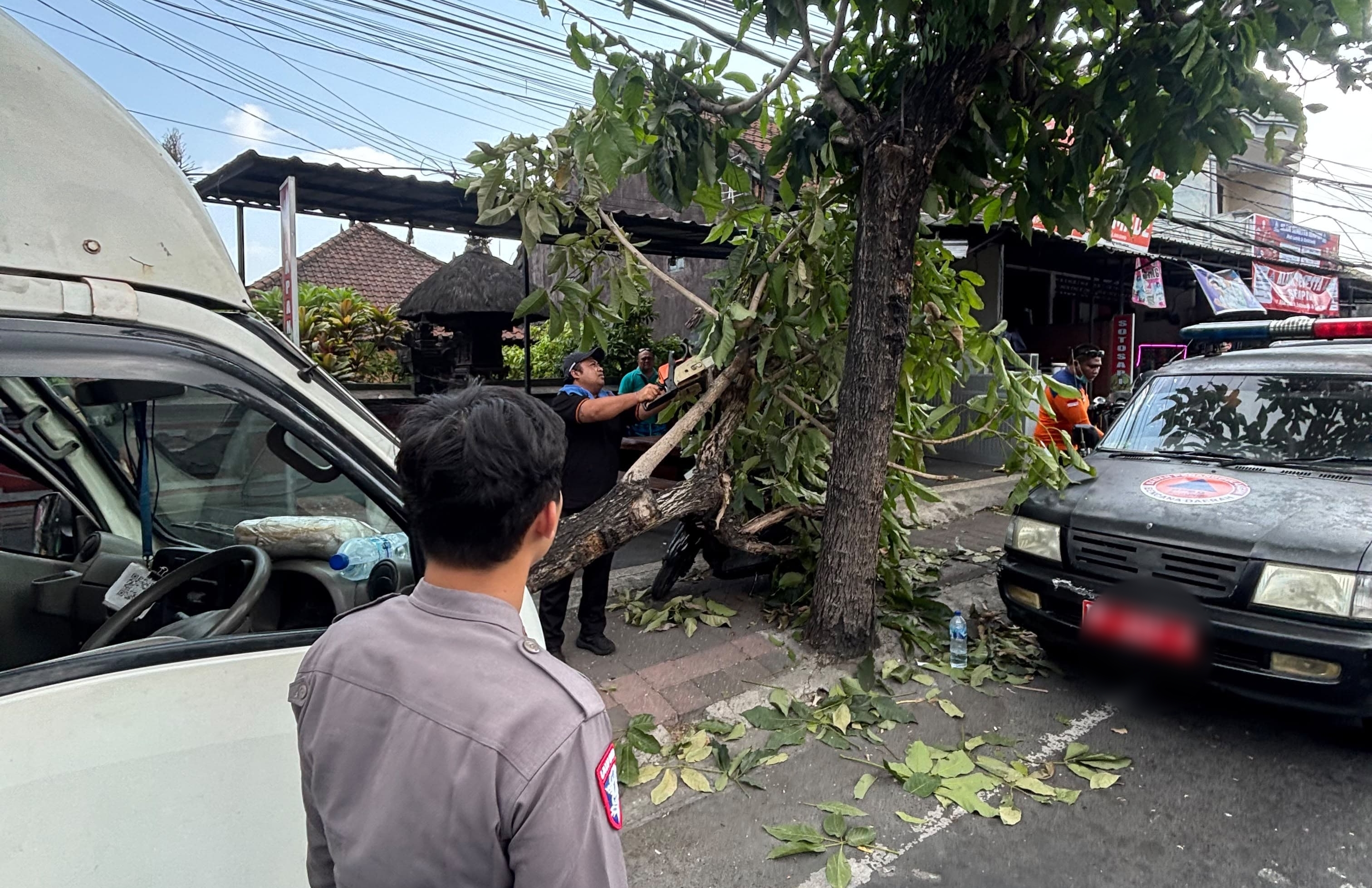 Sopir Pikup Tewas di Tempat Usai Oleng dan Menghantam Pohon