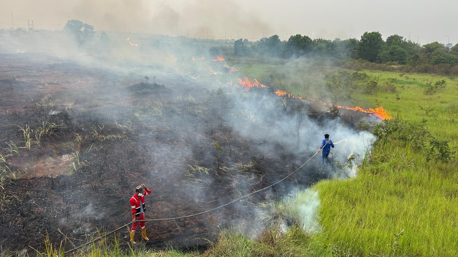 Wildfires Threaten Palindra Toll Road: HKA Deploys 25 Personnel and a 5,000-Liter Water Tank