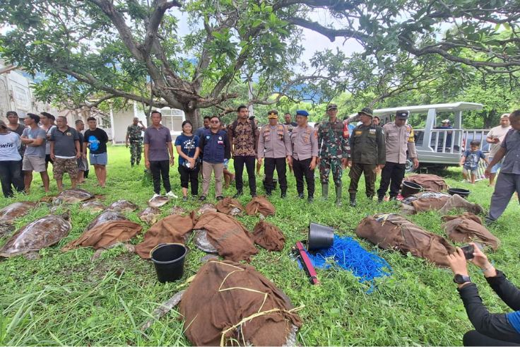 Penemuan 22 ekor penyu di Desa Pemuteran, Kecamatan Gerokgak, Buleleng, Jumat (24/1) pagi.