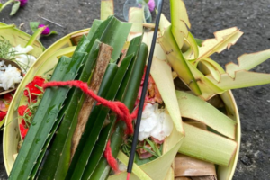 Makna Pandan Berduri yang Dipasang Sehari Sebelum Tumpek Wayang