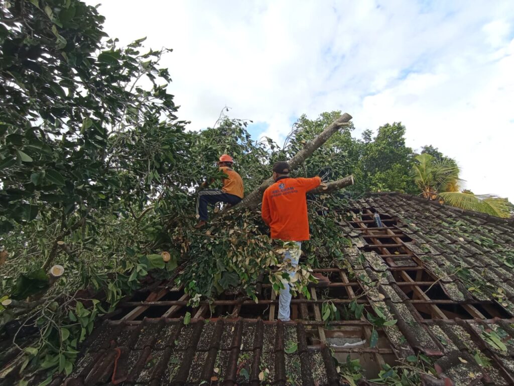 Bangunan di Jalan Ceroring, Desa Singakerta, Ubud tertimpa pohon tumbang.