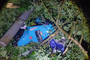 Pohon besar tumbang dan menimpa motor di Uluwatu, Badung
