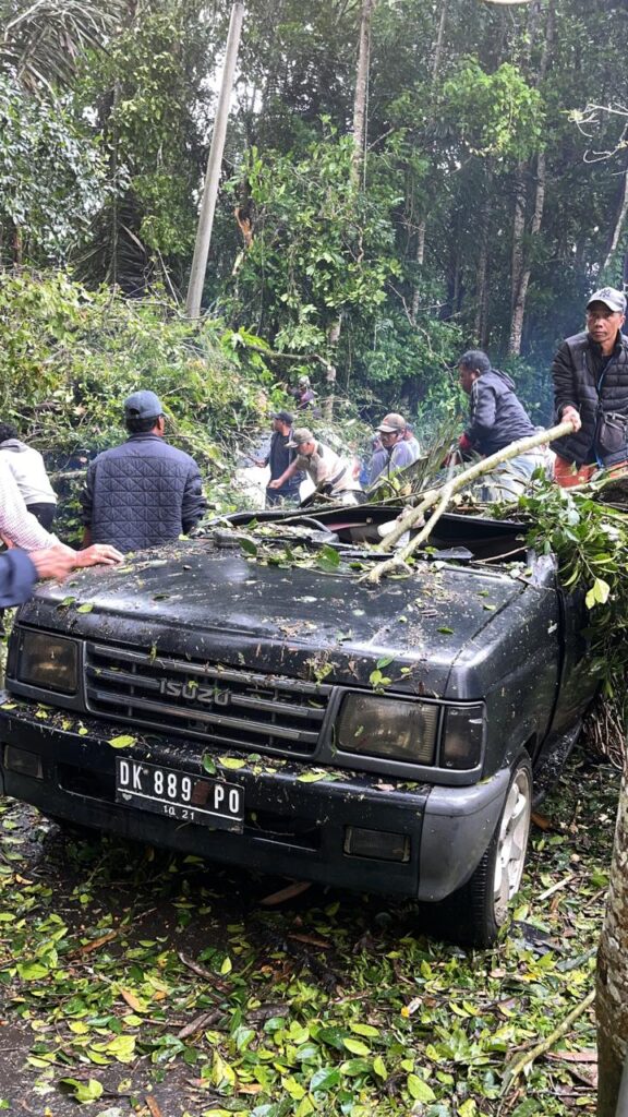 Mobil tertimpa pohon di Bangli saat cuaca buruk beberapa hari lalu.