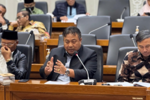 Anggota Badan Legislasi (Baleg) DPR, I Nyoman Parta.