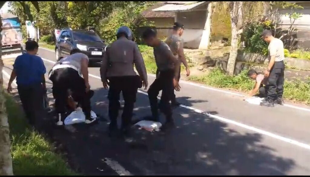 Petugas Polsek Payangan menambal jalan berlubang di sepanjang Payangan-Kintamani.