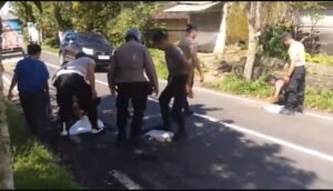 Petugas Polsek Payangan menambal jalan berlubang di sepanjang Payangan-Kintamani.