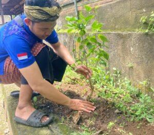 Anggota Karang Taruna Gianyar saat menanam pohon di Pura Samuan Tiga.