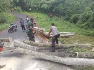 Penanganan bencana di Desa Taro oleh petugas TNI dan Polri bersama BPBD Gianyar.