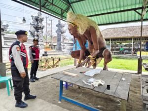 Ogoh-ogoh di Kecamatan Payangan tercatat 91 yang tersebar di seluruh desa.