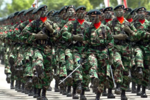 Tentara Nasional Indonesia. (Foto: Pinterest)