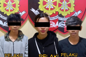 Ketiga pelaku diamankan Tim Opsnal Reskrim Polsek Denpasar Utara.