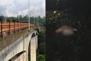 Ni Kadek MS (19), seorang perempuan dari Desa Tamblang, Kecamatan Kubutambahan, Buleleng, ditemukan tewas di bawah jembatan Tukad Bangkung.