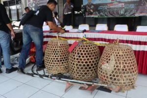 Barang bukti ayam kurungan merupakan hasil curian dari pelaku Yan Kampiung asal Sumita Gianyar.
