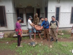 Pria dengan gangguan jiwa ini dipegangi oleh petugas Satpol PP dan warga.