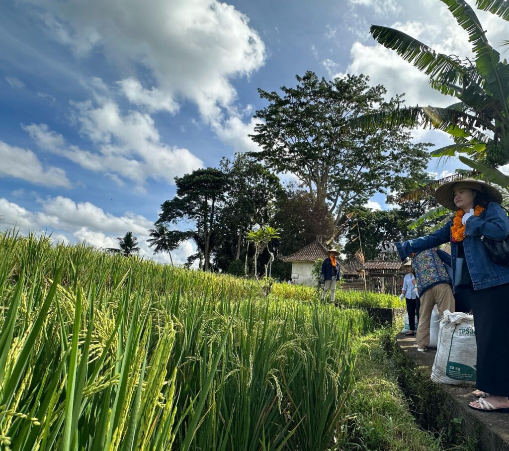 Desa Keliki hasilkan kompos dari sampah rumah tangga untuk menyokong pertanian.