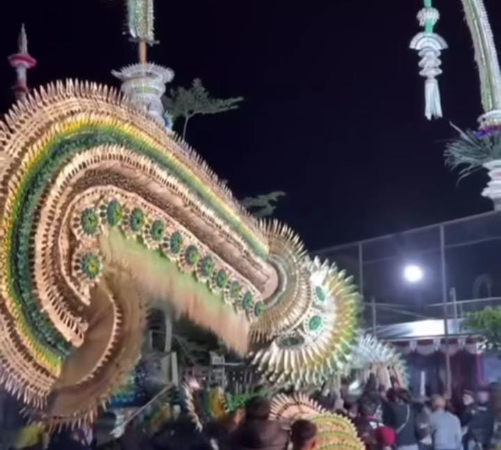 Penjor dari Desa Adat Buayang saat dipasang secara bergotong-royong serangkaian HUT Kota Bangli.