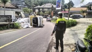 Truk pengangkut pupuk terguling di Jalan Penelokan, Kintamani, Bangli.