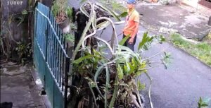 Perilaku tetangga yang memegang dan menodongkan senjata tajam terekam CCTV.