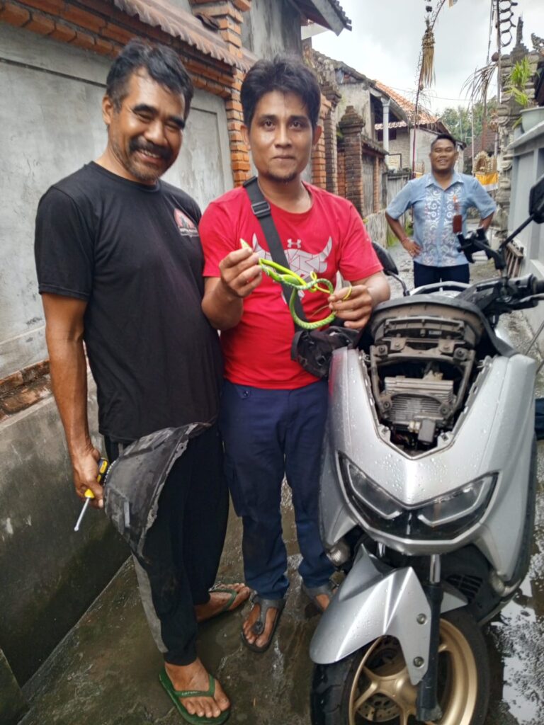 Temuan ular di sepeda motor diamankan oleh petugas Damkartan Gianyar.