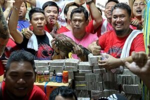 GEMAH Laporkan Anggota DPRD DKI Terkait Dugaan Pemerasan dan Judi sambung ayam.