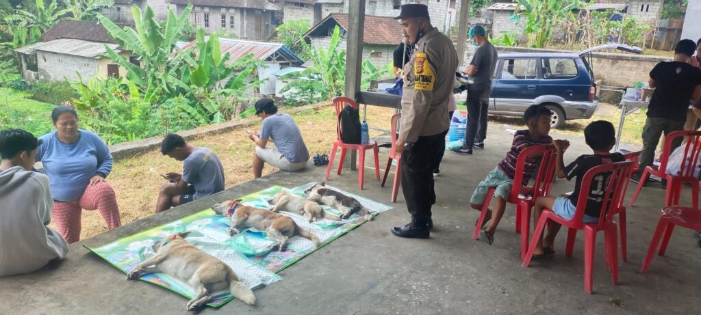 Upaya sterilisasi terhadap anjing di wilayah Banjar Sanding, Desa Bakbakan, Gianyar, beberapa waktu lalu.
