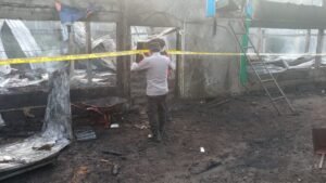 Kandang ayam di Karangasem terbakar menyisakan puing dan bangkai ayam.