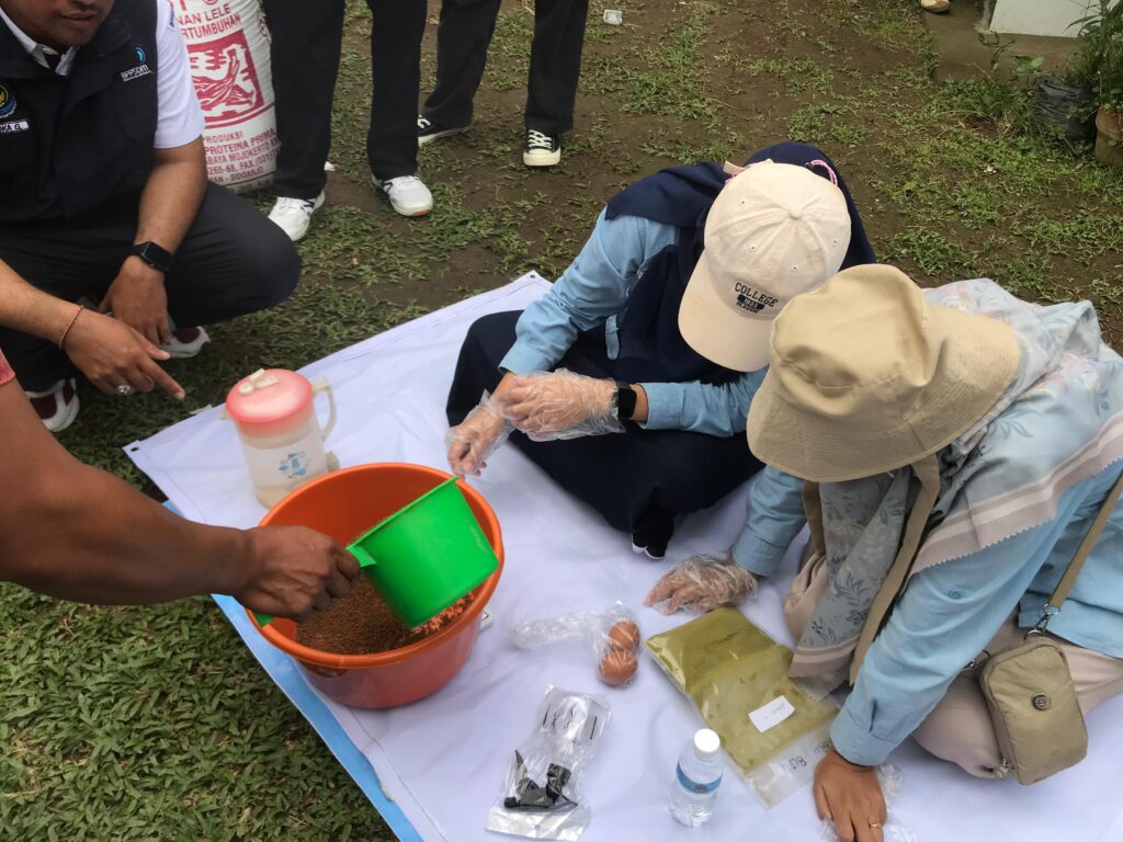 Tata cara pemanfaatan limbah dapur diolah menjadi pakan ternak.