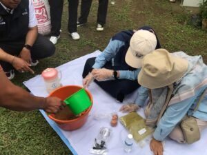 Tata cara pemanfaatan limbah dapur diolah menjadi pakan ternak.