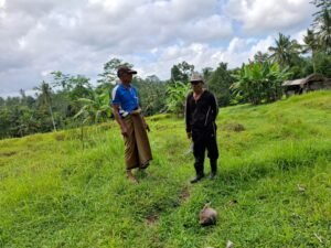Petani di Klungkung menjerit karena tidak mendapat air.