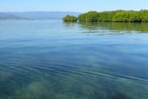 Pulau Panjang yang dipotret dari pulau Bungin Sumbawa dan diisukan dijual di situs online luar negeri. (Foto: BKSDA NTB )