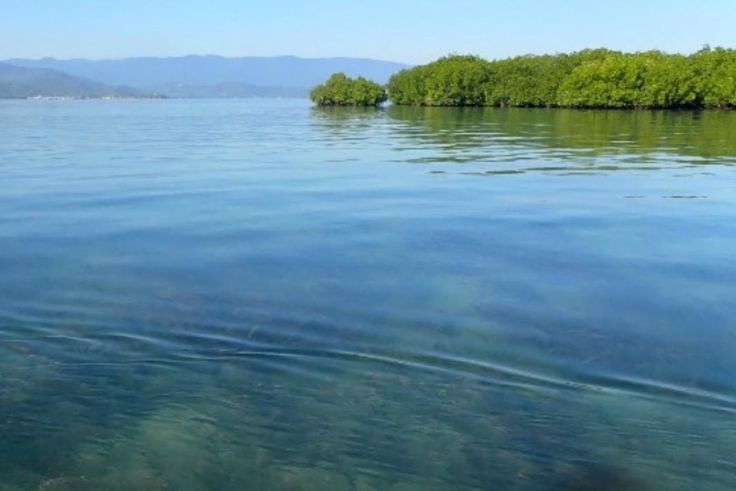 Pulau Panjang yang dipotret dari pulau Bungin Sumbawa dan diisukan dijual di situs online luar negeri. (Foto: BKSDA NTB )