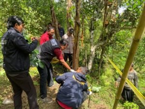 Polisi menggelar olah TKP di sekitar kandang sapi.