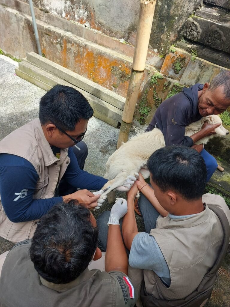 Upaya vaksinasi rabies d Kabupaten Bangli berlangsung door to door.