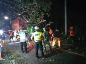 Truk kontainer yang melintas di jalur Karangasem-Singaraja menabrak pohon perindang jalan.