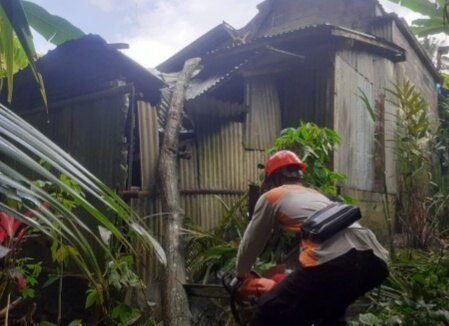Pohon tumbang menimpa rumah warga di Karangasem.