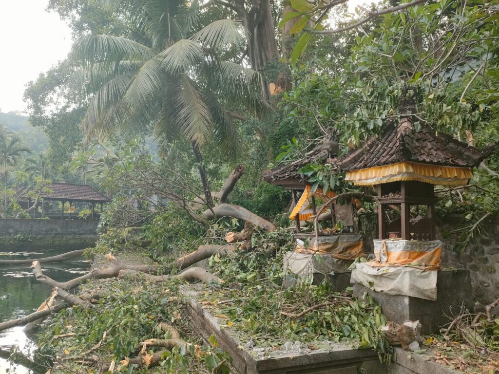 Pohon kayu tumbang menimpa bangunan pura di Abang, Karangasem.