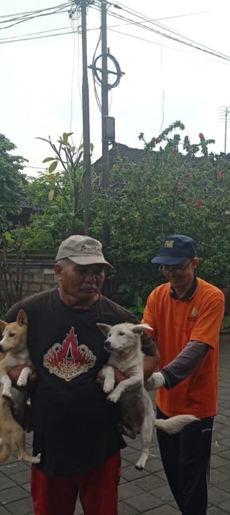 Drh. Arya Dharma (kanan) saat tangani anjing di Gianyar.