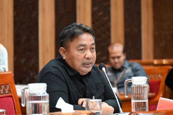 Anggota DPR RI Dapil Bali, Nyoman Parta.