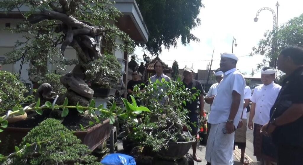 Pameran bonsai internasional di Alun-alun Gianyar.