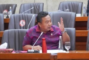 Anggota DPR RI Dapil Bali, Nyoman Parta.