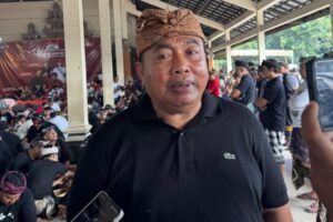 Anggota DPR RI Fraksi PDIP, Nyoman Parta.